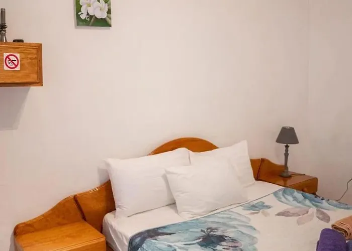 The Reef Palm