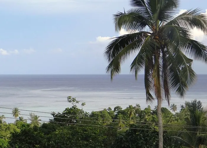 Lägenhet The Reef Palm