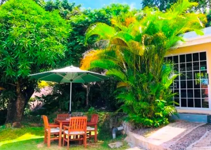 The Reef Palm *