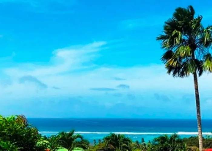 The Reef Palm * Anse aux Pins